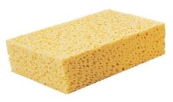 Achetez TALIA EPONGE A RECURER VEGETALE 180X120X60MM en ligne sur MO-Shop